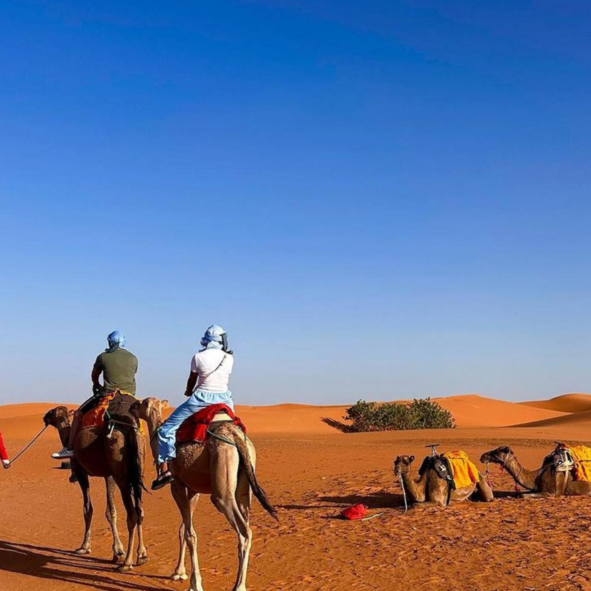 Erg Chebbi Tours Campingplatz