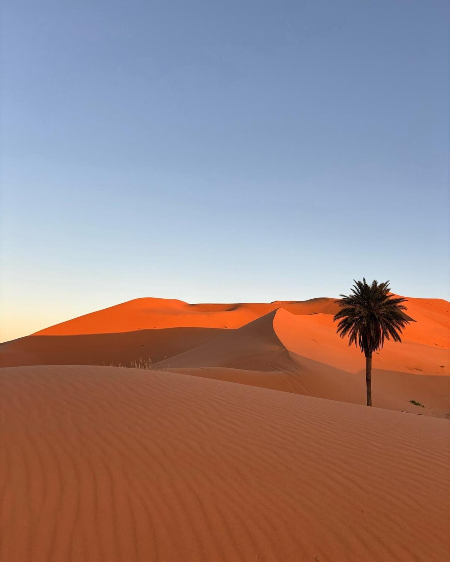 Erg Chebbi Tours Campingplatz *