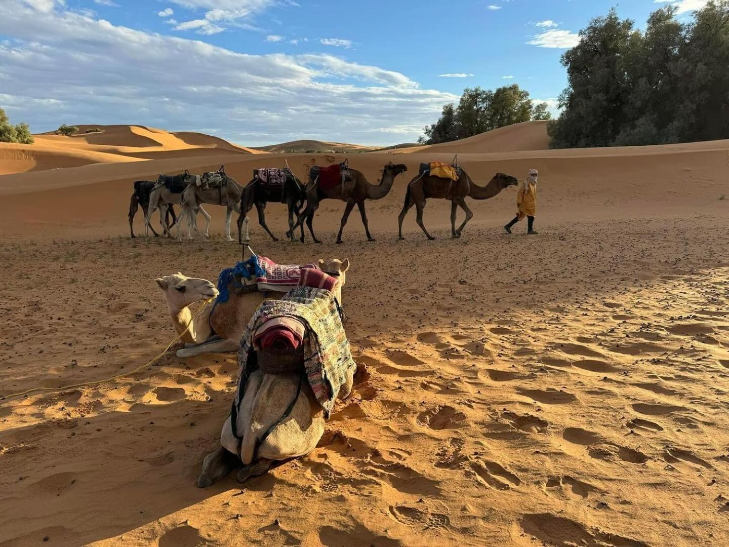 Erg Chebbi Tours *
